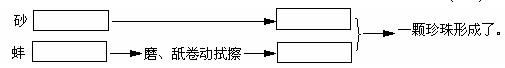 珍珠孕育过程